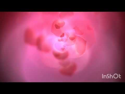 Symphonie of Disco (Deep-tech-house music)