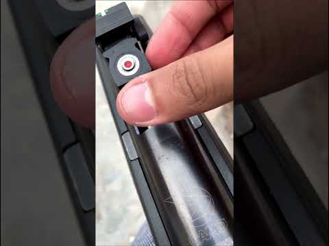 Gamo Airgun : Ultimate Combination of Beauty, Power & Accuracy.