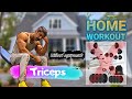 Triceps Home Workout (NO GYM ) | बिना gym के घर पर बनाए triceps | Maxener Wellness | Rubal Dhankar