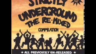HACKNEY HARDCORE - DINOMANIA (Time Before Man Remix)