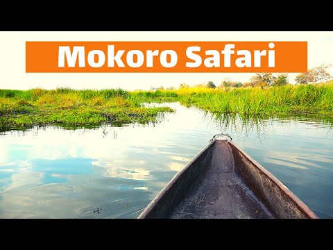 Mokoro Canoe Safari