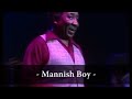 Muddy Waters Mannish Boy Live At Rockpalast