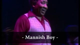 Muddy Waters - Mannish Boy (Live At Rockpalast)
