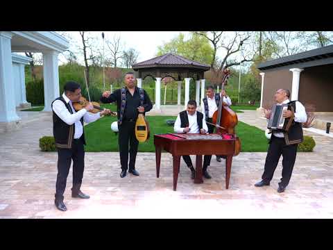 Taraful din Teleorman si Marian Sandu - Live 100%