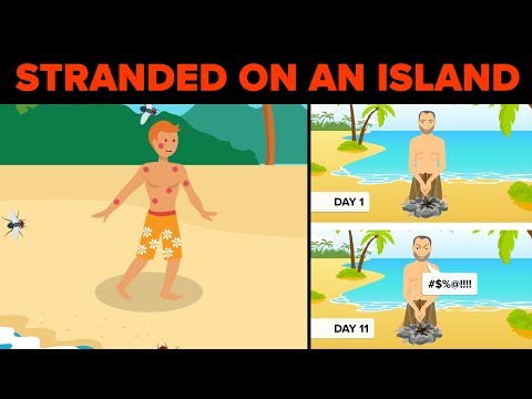 Do These Things To Survive If You Get Stranded On an Island