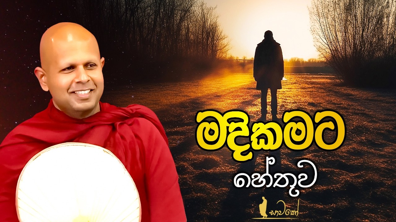 මදිකමට හේතුව