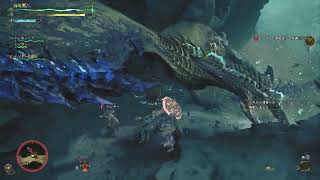 歴戦王レダウ低速回線カクカクプレイ