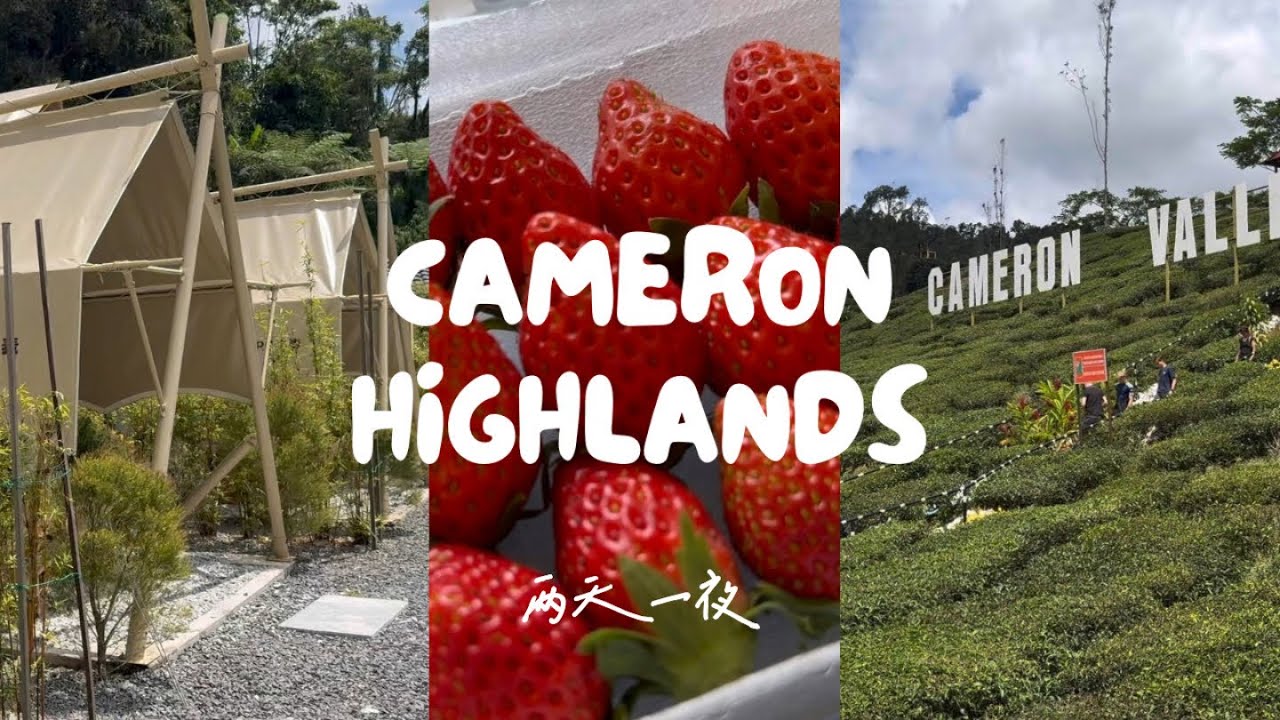 金马伦 Cameron Highlands 2D1N ⛰️第一次体验住在帐篷⛺️｜景点介绍｜必去｜马来西亚旅游｜I am SUANG 双人行