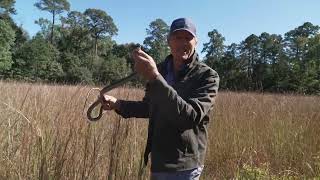 Tony Catching a Common Lowcountry Snake