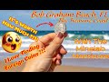 Unexpected Coin Found Beach Metal Detecting Bob Graham Beach Treasure Coast