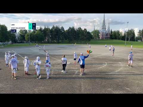 Suurleiri DP Pelisarja LMV - Vive