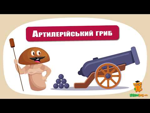 🍀 Дива природи. Явища навколо нас. Атилерійський гриб 🌏