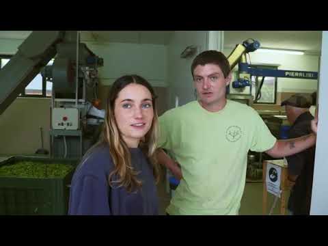 Help! Bought Village S03E09