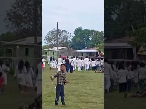 O cotidiano paulivense, comunidade Vendaval no município de São Paulo de Olivença (Am)