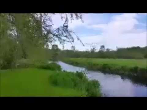 Sorry This one Is SOLD