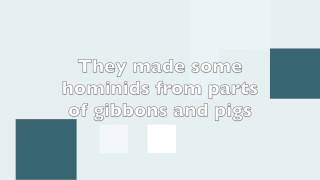 ApologetiX - Bone Digger w/ Lyrics