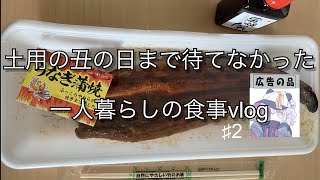 土用の丑の日まで待てなかった一人暮らしのリアルな食事vlog