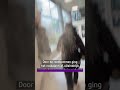 Scholieren geschorst na examenstunt | #Shorts