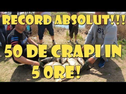 RECORD-50 de CRAPI in 5 ore--probleme NAVOMODEL, DRIL MUNCIT 15.04.2022