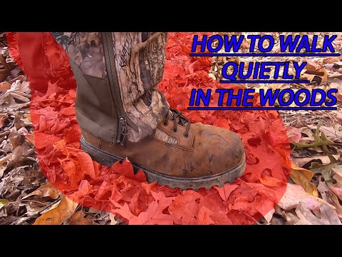 Your biggest mistake when walking through woods... Explained