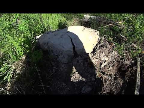 Metsolan Metsäkoulu 132 - Terveisiä mätästäjälle