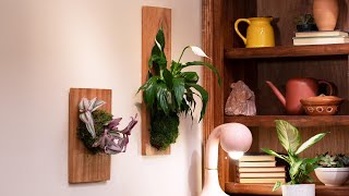 Wall-Mounted Plants For $15 or Less // Presented by BuzzFeed & GEICO