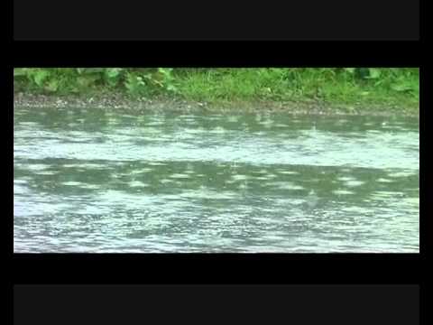 Skala - Miroslav Skála: Hřiště Fryšava