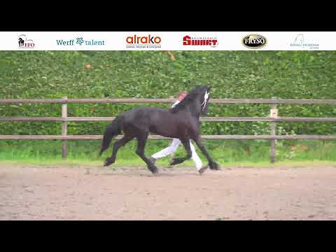 locatie keuring Mellema &amp; Henswoude | 21 mei 2022