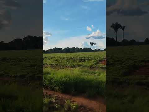 Pelas estradas de Jussara-GO