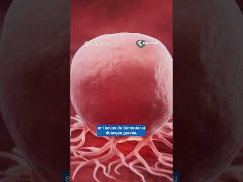 Anis Taha-19