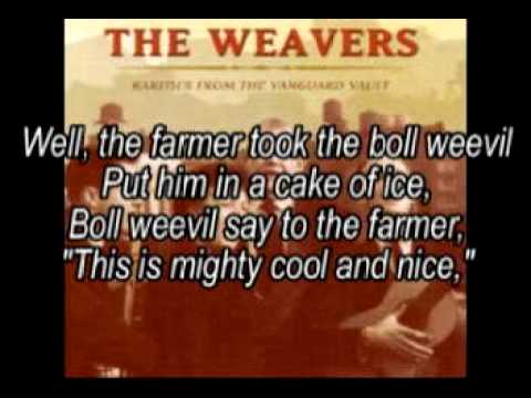 The Boll Weevil - The Weavers - (Lyrics)