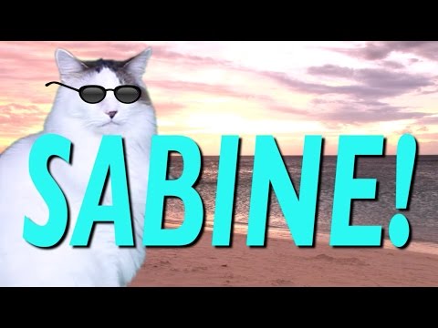 HAPPY BIRTHDAY SABINE! - EPIC CAT Happy Birthday Song