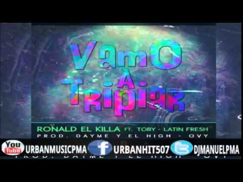 Latin Fresh Ft  Toby   Vamos A Tripear
