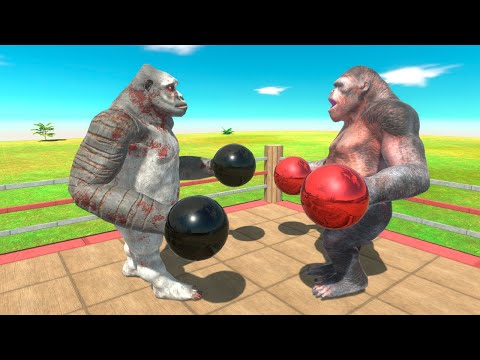 Boxing Tournament - Animal Revolt Battle Simulator