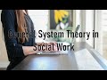 GENERAL SYSTEM THEORY