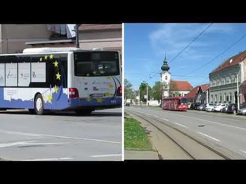 Dane Magdić - Moša