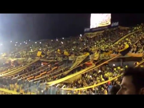 "Hinchada de Peñarol estadio campeón del siglo Inaguracion" Barra: Barra Amsterdam &bull; Club: Peñarol