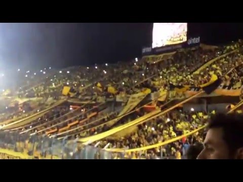 "Hinchada de Peñarol estadio campeón del siglo Inaguracion" Barra: Barra Amsterdam • Club: Peñarol