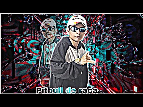 MEGA FUNK  PITBULL DE RAÇA (DJ DOMINI SC)