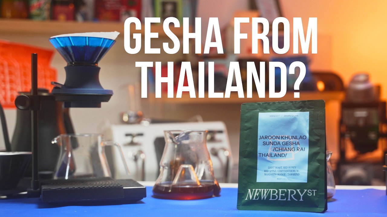 Gesha From Thailand? Newbery Street Collab