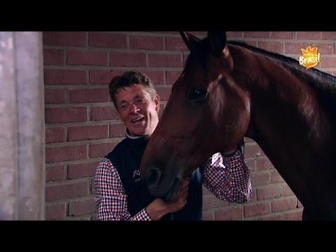 Springruiter Jeroen Dubbeldam: Ik ben de favoriet - RTL BOULEVARD