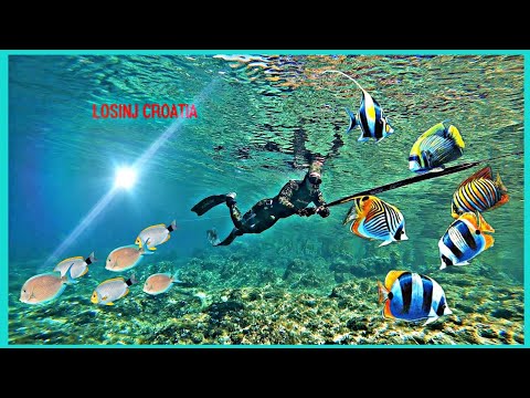 Exploring the shallow waters of Lošinj island, Croatia