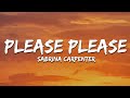 Sabrina Carpenter Please Please Please Lyrics