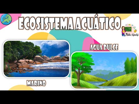 Ecosistema Acuático | Aula chachi - Vídeos educativos para niños