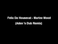 Felix Da Housecat - Marine Mood (Aden's Dub Remix)