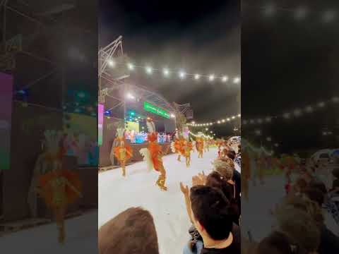 Carnavales Sastre Santa Fe. 2026 (Penambí Berá)