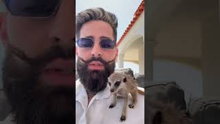 Ta diferente esse hamster #ruyter
