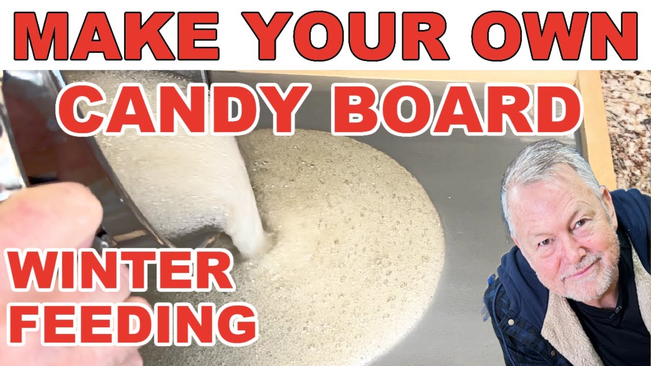 Beekeeping: How To Make A Candy Board To Feed Your Bees In Winter