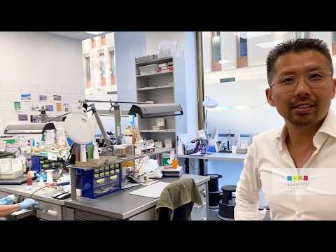 Adentics  - CORONA Tagebuch Teil 1 (Praxiseinblicke)