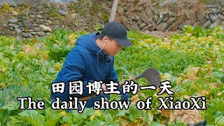 The daily show of XiaoXi丨田园生活博主真实的一天丨2021 新春 spring festival vlog 丨4K UHD